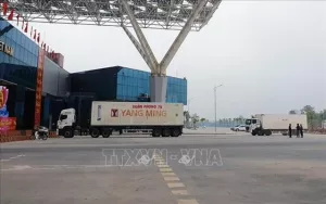 Hơn 260 tấn hàng hóa qua cửa khẩu cầu Bắc Luân II trong kỳ nghỉ Tết