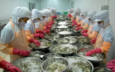 Trung Quốc tăng nhập thủy sản Việt Nam gấp 3 lần