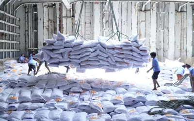 Indonesia thiếu hụt gạo nghiêm trọng