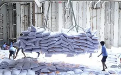 Giá gạo Việt giảm sâu, nhường ngôi cao nhất thế giới cho gạo Thái Lan