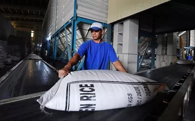 Xuất khẩu gạo: Tránh lặp lại 'vết xe đổ'