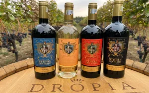 Tìm đối tác nhập khẩu và phân phối rượu vang Romania