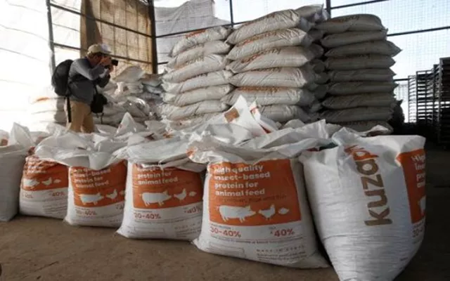 Trở thành ‘cứu tinh’ cho Trung Quốc, một mặt hàng của Việt Nam được các quốc gia châu Á săn lùng: Mỹ tăng nhập khẩu hơn 150%, sản lượng đứng thứ 8 thế giới