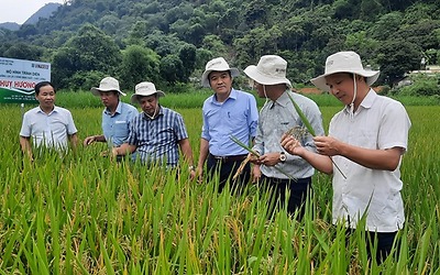 Vượt khó, quyết tâm đưa kinh tế địa phương phục hồi và tăng trưởng mạnh mẽ