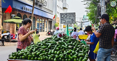 Áp lực tiêu thụ trái cây rộ mùa