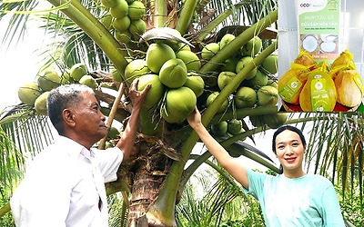 “Chắp cánh” đưa thương hiệu dừa sáp vươn xa