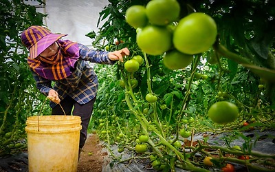 Tổ chức diễn đàn kết nối doanh nghiệp đầu tư, phát triển hệ sinh thái nông nghiệp công nghệ cao