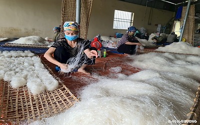 Nhức nhối ô nhiễm môi trường làng nghề sản xuất bún, bánh đa ở Hải Dương