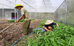 ‘Trái ngọt’ trên hành trình giảm nghèo bền vững ở Bạc Liêu