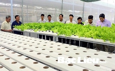 Khoa học - công nghệ phục vụ phát triển nông nghiệp