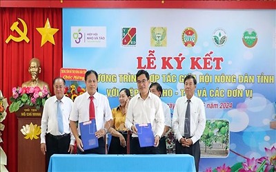 Ký kết các chương trình hợp tác phát triển nho, táo Ninh Thuận