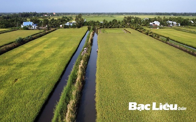 Nhanh chóng tìm giải pháp hoàn thành mục tiêu tăng trưởng kinh tế