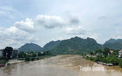 Chủ động ứng phó, khắc phục hậu quả mưa lũ trên địa bàn tỉnh