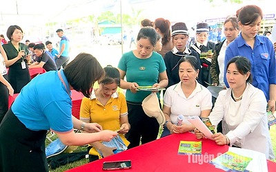 Hơn 800 người lao động, học sinh huyện Chiêm Hóa được tư vấn việc làm