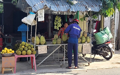 Trái sầu riêng nghịch vụ ở Tiền Giang khan hàng, sốt giá