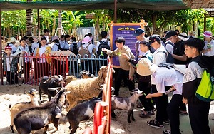 Hội thi Mỹ thuật thiếu nhi tỉnh Quảng Nam lần thứ XVI năm 2024 tổ chức vào ngày 11/7/2024