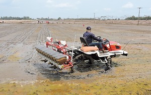 Khởi động đề án 1 triệu hécta lúa chất lượng cao, phát thải thấp