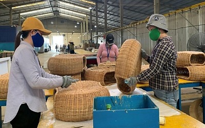 Tăng cường đào tạo nghề, tạo việc làm cho người lao động