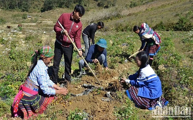 Ưu tiên thông tin lao động-việc làm cho huyện nghèo ở Lai Châu