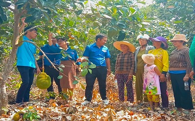 Tập huấn chuyển giao khoa học, kỹ thuật cho thanh niên tại Sa Thầy