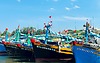 Chuyển đổi số trong ngành thủy sản: Xu thế tất yếu