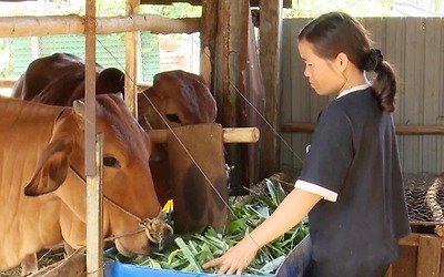 Đắk Glong khó giải ngân hơn 267 tỷ đồng vốn mục tiêu quốc gia