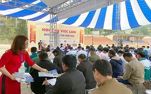 Hơn 500 người tham gia Hội chợ việc làm huyện Mường Chà