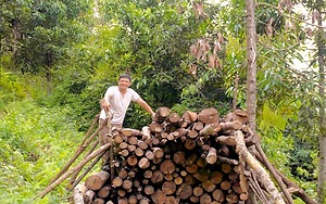 Nguồn vốn đồng hành phát triển kinh tế vườn rừng