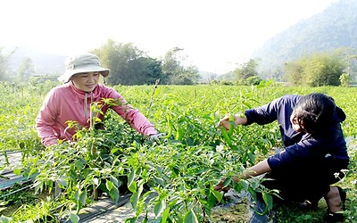 Đồng hành cùng bà con nông dân