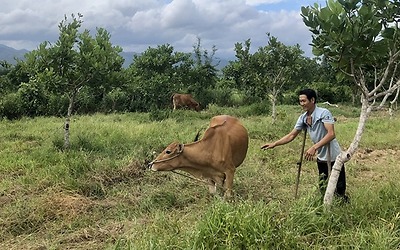 Krông Pa chú trọng công tác đền ơn đáp nghĩa