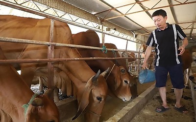 TP Hà Tĩnh đề xuất khu vực không được phép chăn nuôi