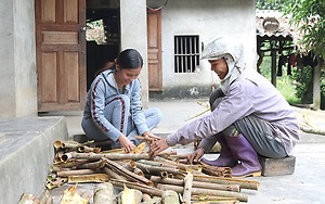 Nhân rộng các mô hình kinh tế