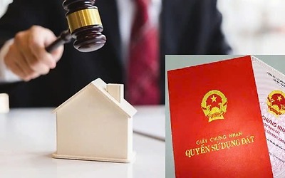 Hà Nội: Huyện Hoài Đức và Phúc Thọ sắp đấu giá gần 60 thửa đất, khởi điểm từ hơn 7 triệu đồng/m2