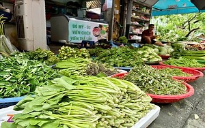 Bộ Tài chính yêu cầu không để đầu cơ tăng giá hàng hóa sau bão Yagi