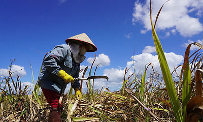 Ngành thép và mía đường suýt 'chết lâm sàng' vì hàng ngoại nhập