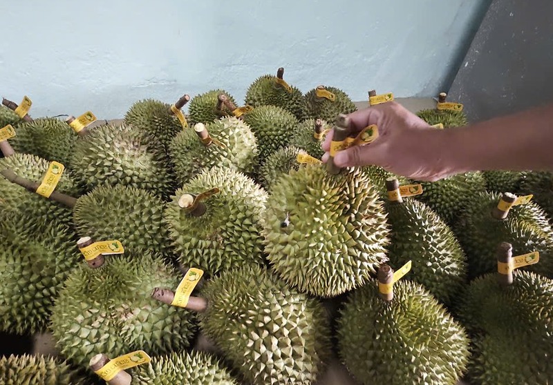Sầu riêng Việt “một mình một chợ”, giá cao ngất ngưởng