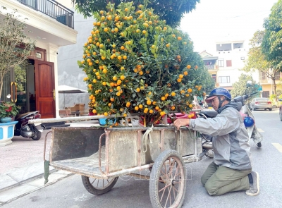 Vất vả mưu sinh những ngày giáp Tết