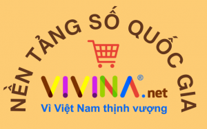 Nền tảng số Quốc gia VIVINA: Đồng hành tiến bước với kỷ nguyên vươn mình của dân tộc