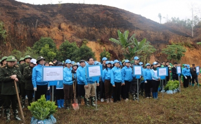 Liên đoàn Lao động tỉnh phát động “Tết trồng cây đời đời nhớ ơn Bác Hồ” Xuân Ất Tỵ 2025