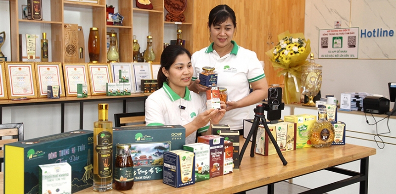 Tháo gỡ rào cản, mở đường băng cho doanh nghiệp nhỏ và vừa cất cánh