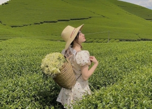 Đồi chè Trái tim Mộc Châu: Thiên đường của sắc xanh