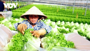 Gia tăng thị phần nông sản tại những thị trường trọng điểm