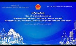 Nền Tảng Số Quốc Gia VIVINA: Giải Pháp Số Hóa Kênh Phân Phối Hàng Việt Cho Cộng Đồng Kiều Bào