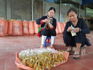 HTX Nông Nghiệp Bản Dao - Thống Nhất: Lan tỏa giá trị nông sản hữu cơ chuẩn quốc tế