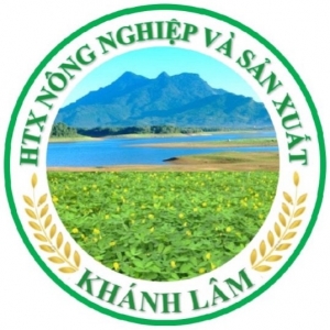 Dầu Thực Vật Khánh Lâm: Tinh Hoa Từ Thiên Nhiên Cho Bữa Ăn Việt