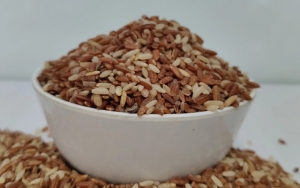 GẠO HỮU CƠ BÁCH MỘC – Chắt Lọc Tinh Hoa Thiên Nhiên Cho Mỗi Bữa Cơm Việt