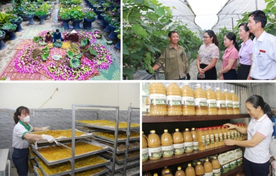 Huyện Nam Đàn (Nghệ An): Điểm sáng xây dựng nông thôn mới nâng cao