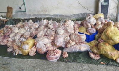 Một hộ kinh doanh ở Hà Giang trữ gần 4 tấn thực phẩm đổi màu và bốc mùi