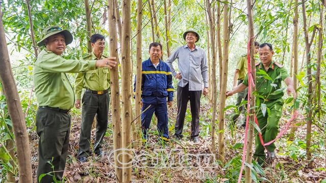 Giảm nguy cơ cháy rừng