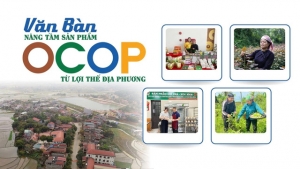 Văn Bàn nâng tầm sản phẩm OCOP từ lợi thế địa phương